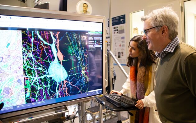 Leila Elabbady and Clay Reid looking at computer screen with brain maps displayed